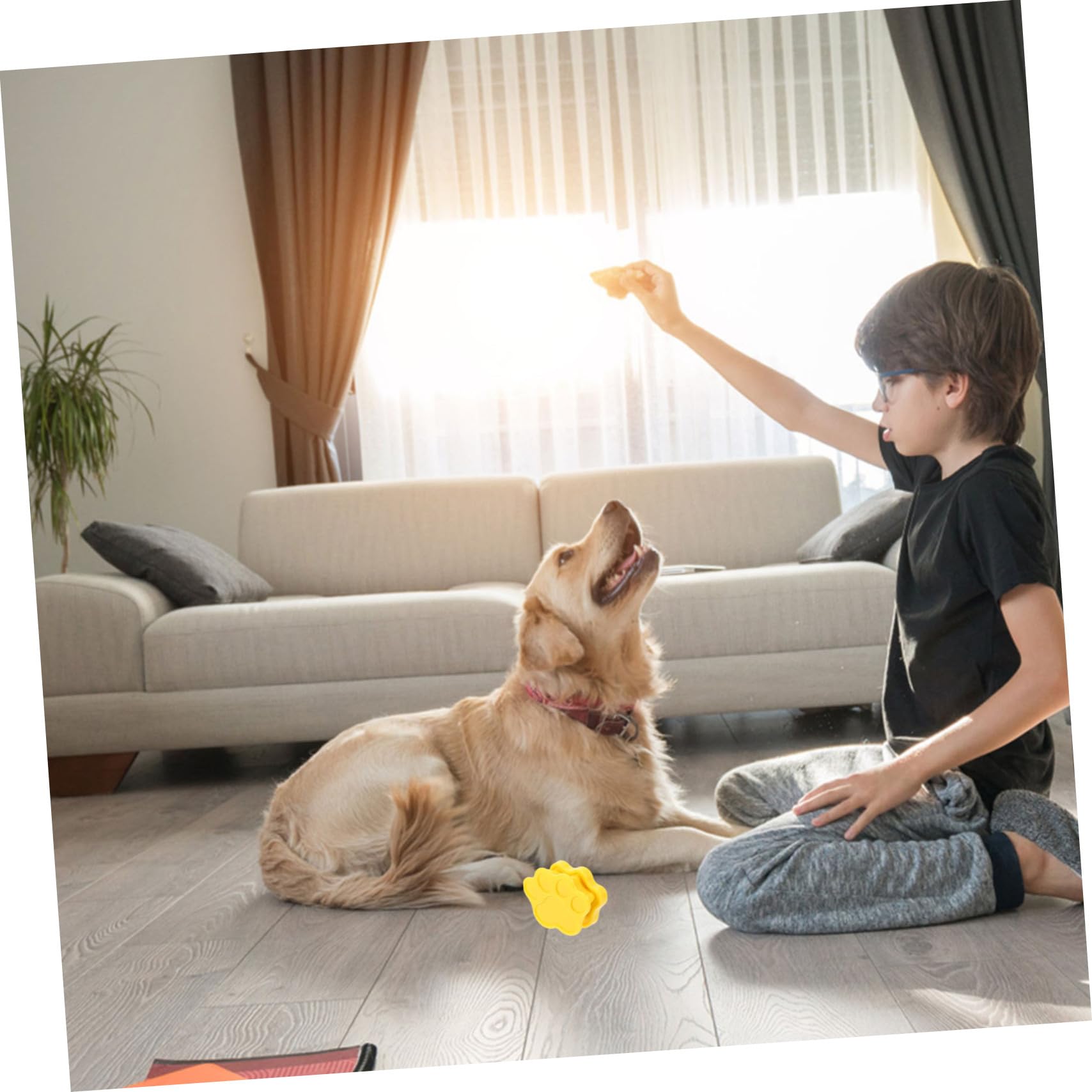 BESPORTBLE 6stücke Hund Urinierpad Mit Magnet Rutschfester Klauen-Design Kleber Für Einfache Installation Flächen Für Hundetraining Und Sauberkeit
