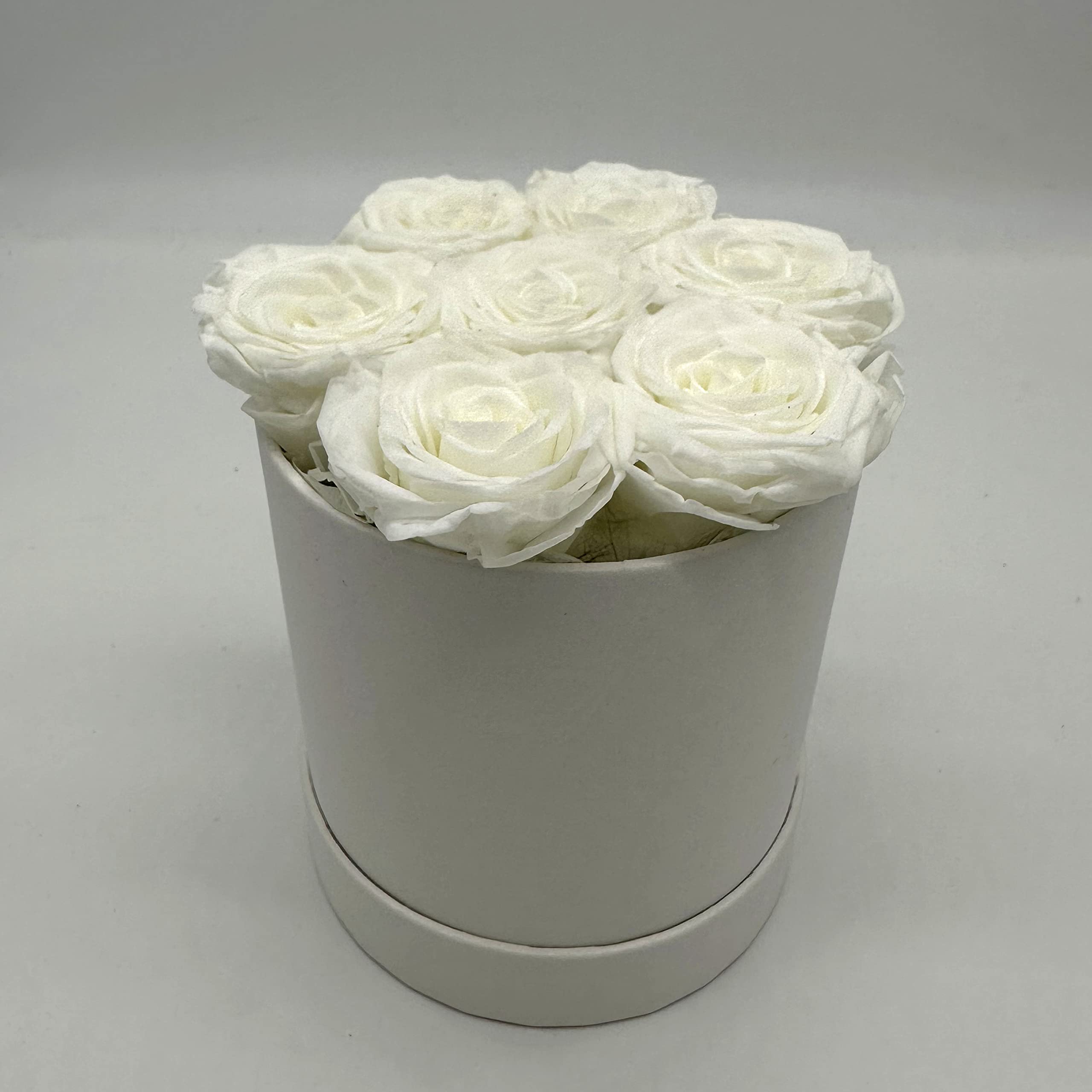 Rose Eterne Confezione Regalo con fiocco – My Sweet Bear