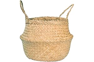 LiloCraft Seagrass: Your Colossal Plant Haven