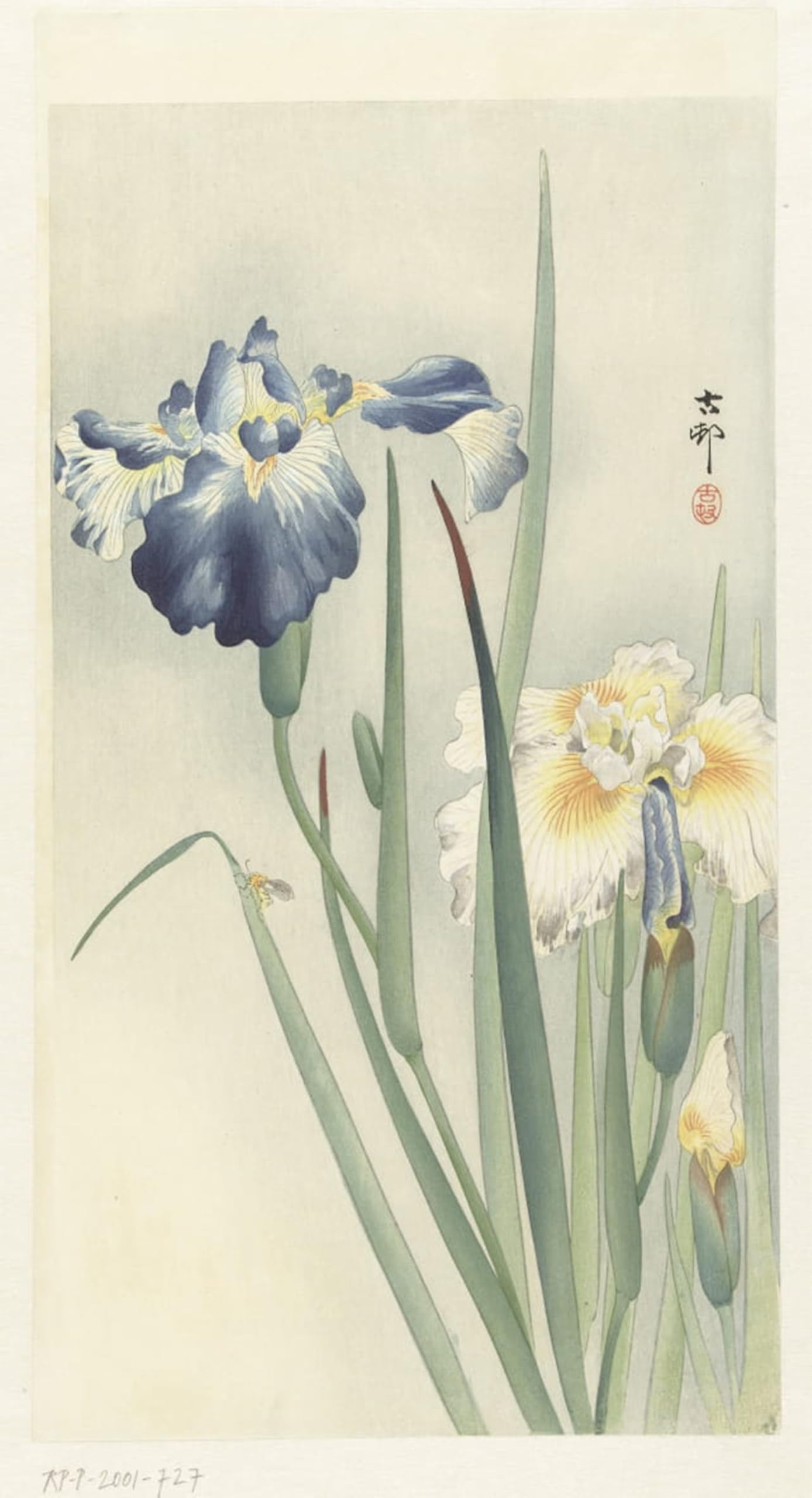 POSTERIIk Famous Print Pop Art Wall Art Graffiti Pigeons on a Dedicatory Lantern by Ohara Koson Art Prints for Home Decor 60x90cm