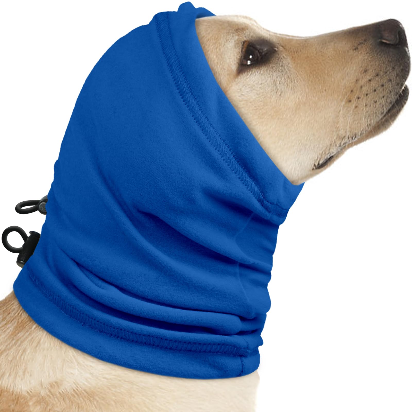 Protection auditive sûre pour les chiens stressés par les bruits forts