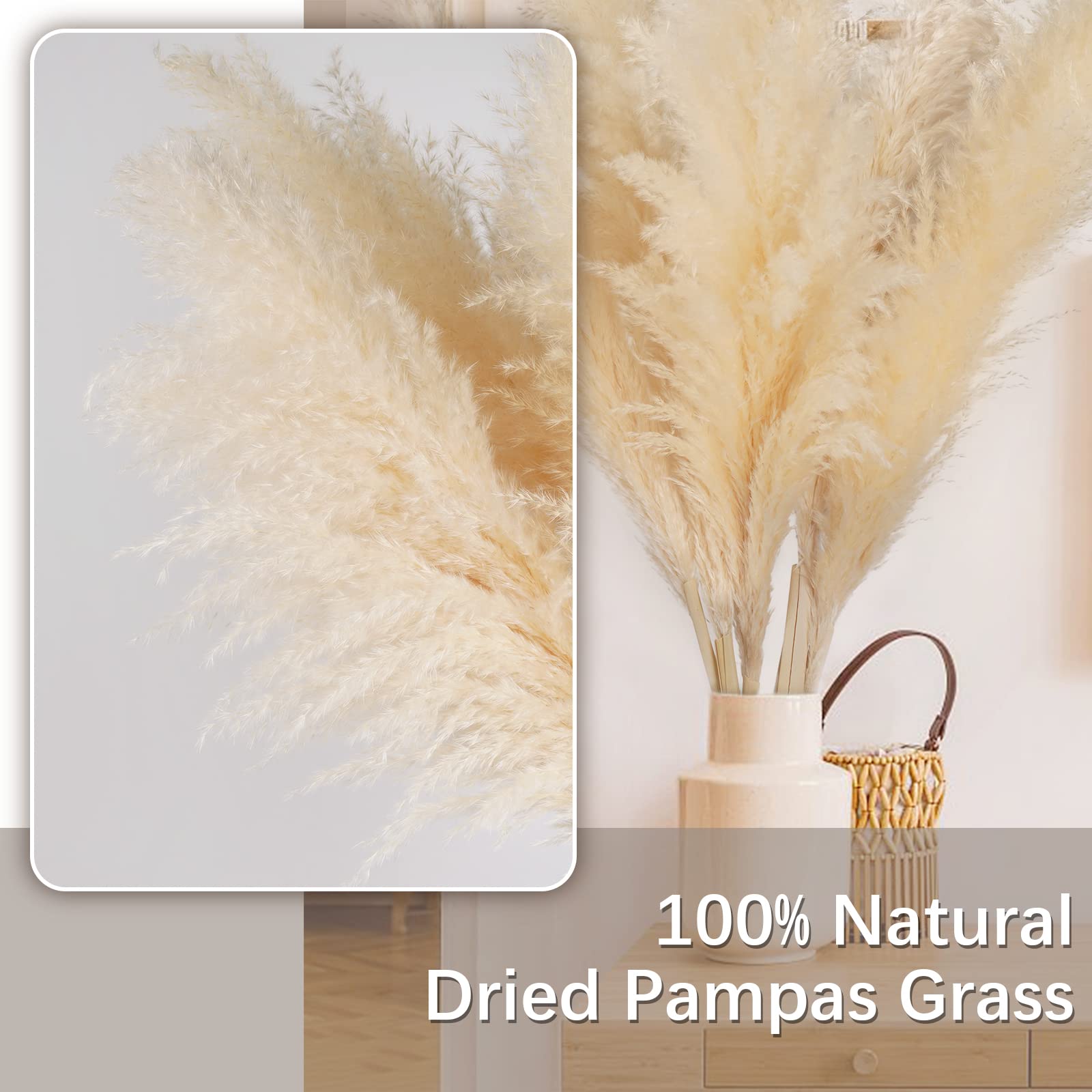 Pampas Grass 48 inch (4ft) Pampas Grass Decor Tall 5 Stems Natural