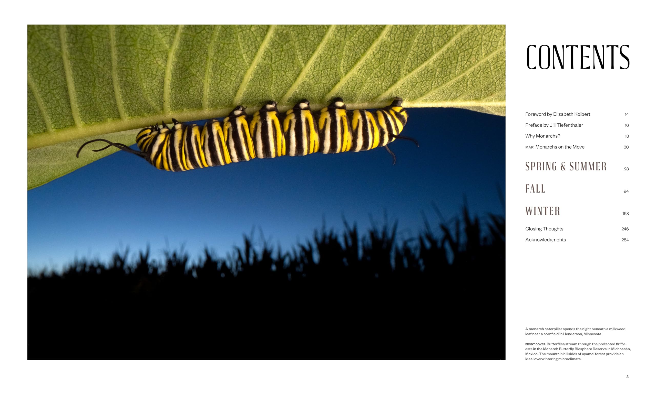 Monarchs