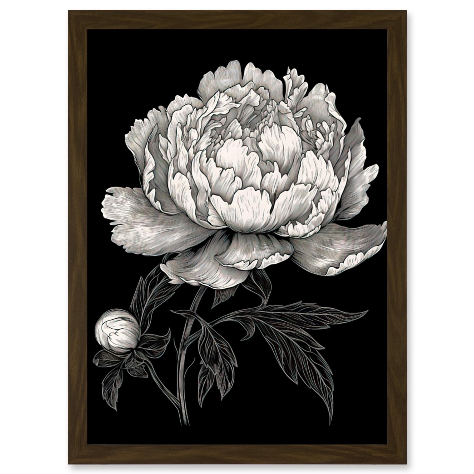 Artery8 A Peony Flower Bloom Black and White Blind Contour Artwork Framed Wall Art Print A4