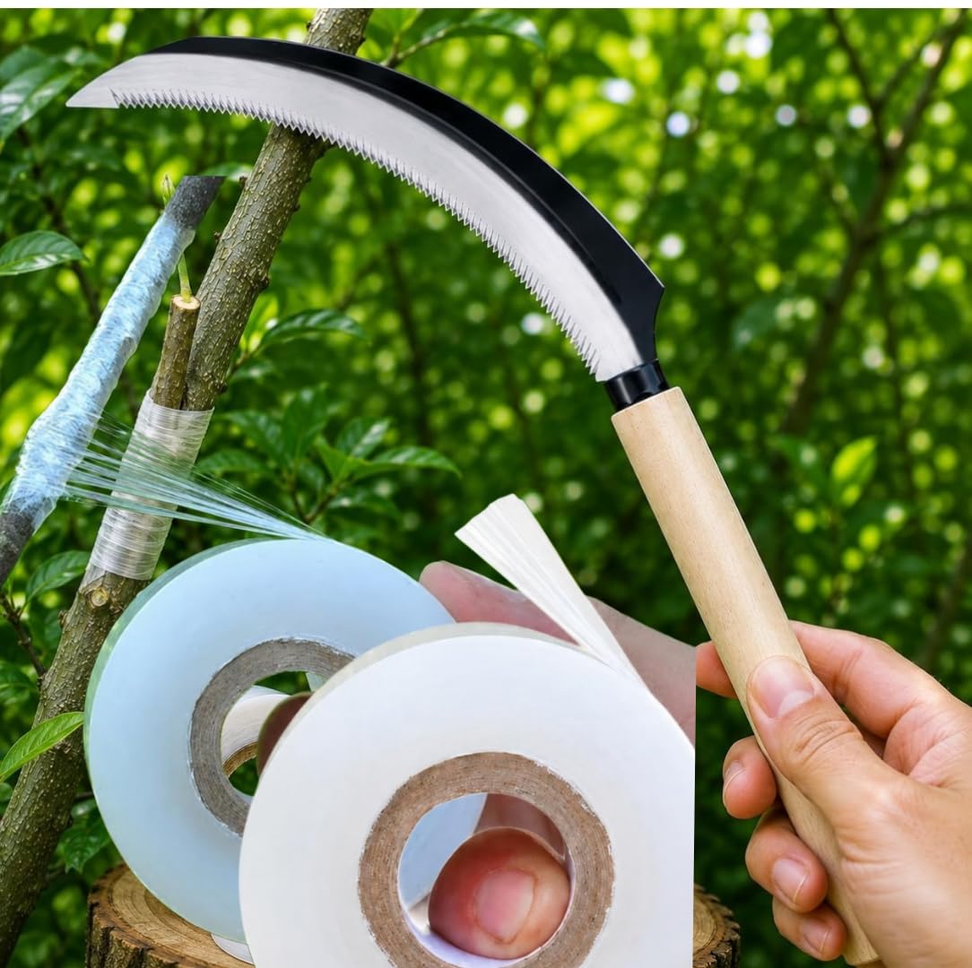 Aruspray Grafting Tool with 600m 2 inch Rolls Grafting Tape, Handle Stainless Steel Cutter with Sheath, for Fruit Trees, Roses, Plants Made in Japan-image-45
