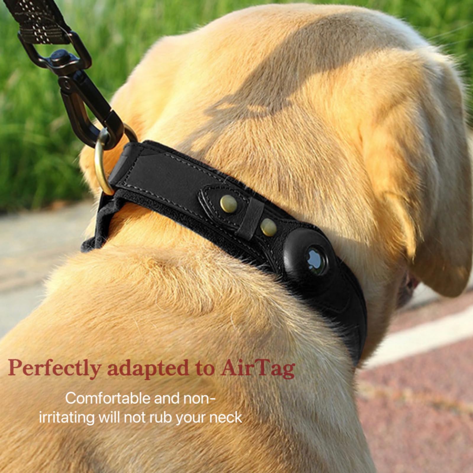Collier pour Chien airtag Collier pour Chien en Cuir avec Rembourrage Doux Réglable pour éviter la Perte du Collier pour Petits Moyens et Grands Chiens(Noir,L)