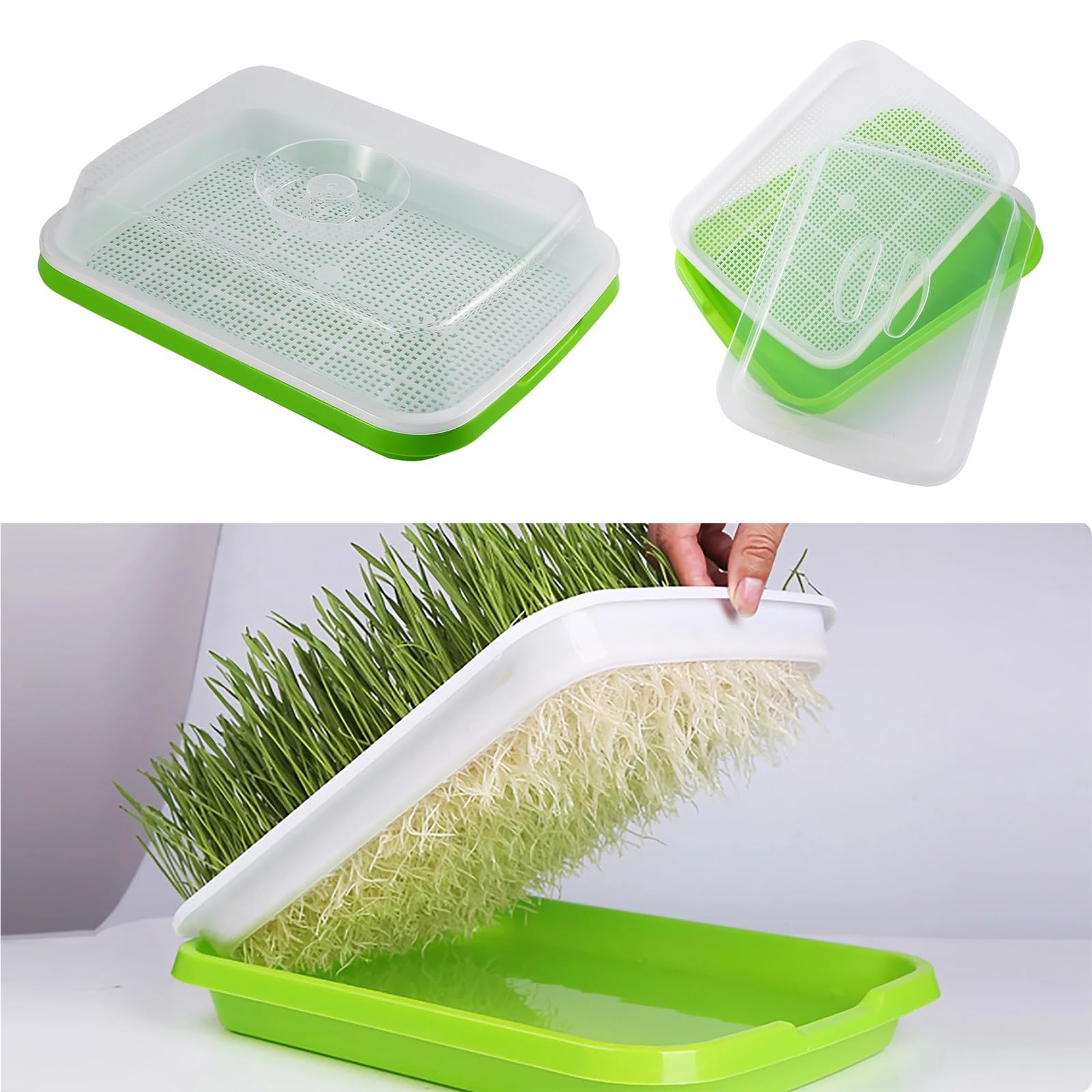 Anzuchtschale Keimschale, Saatgut, Setzling, Weizengras, Pflanztopf ohne Boden für Pflanzen(1Pc Tray)