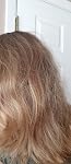 Review Image by Riitta Riitta