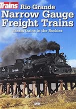 Rio Grande Narrow Gauge Freight Trains