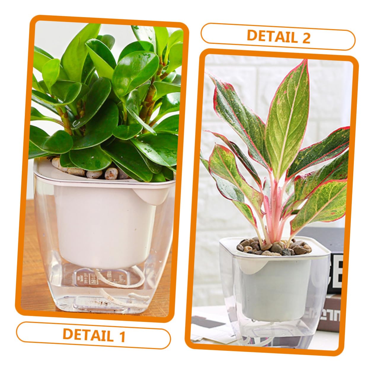 10 Transparente Pflanztöpfe Set – 4 Größen (7,6–17 Cm) Mit Drainagelöchern Für Drinnen & Draußen