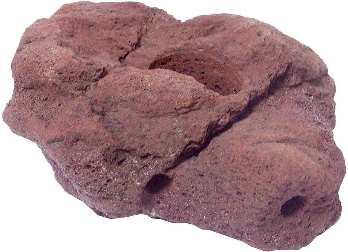 ICATR50 Bio Natural Rock