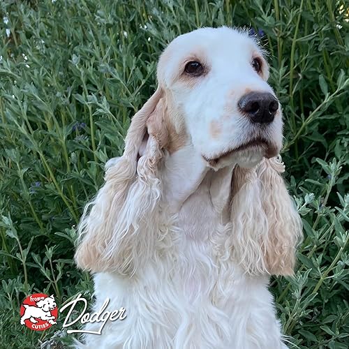 Miniatura 9 de Alimento seco para perros Fromm, sin granos, cuatro estrellas, receta Game Bird, bolsa de 4 libras