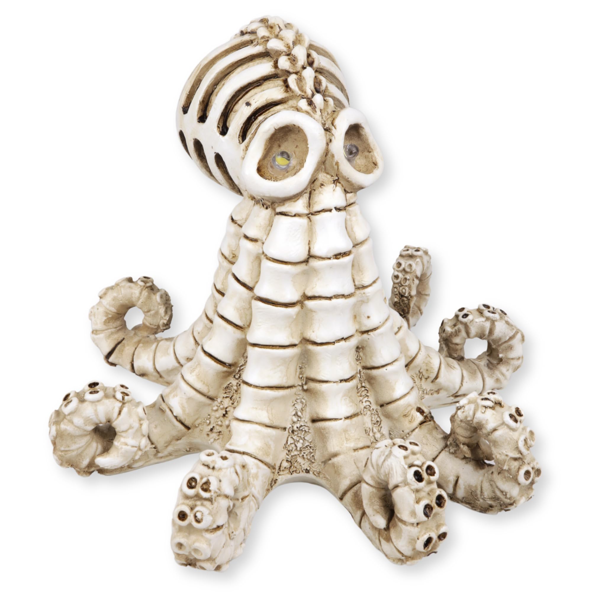 限定10体 planetx CADAVER HALLOWEEN SPECIAL Amazon.com: Needzo Skeleton Octopus Figurine, LED Light up
