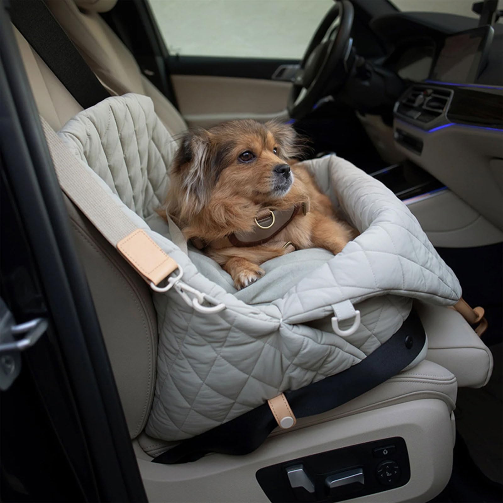 Grande borsa da trasporto per cani o animali domestici da viaggio all'aperto per visite turistiche all'aperto disegni animali domestici per cani