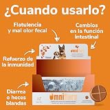 Ver la foto 2