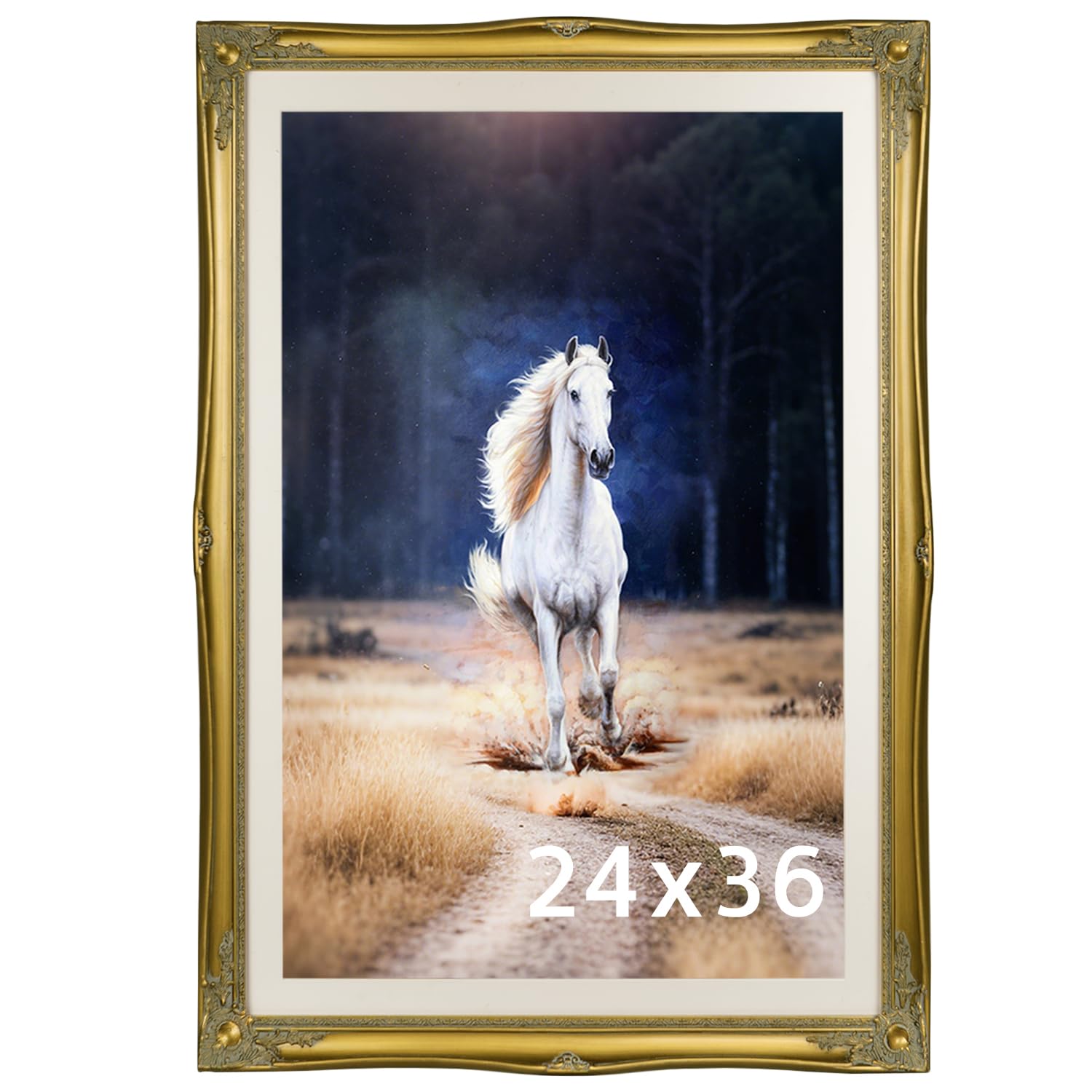 Tacomany 24x36 Frame