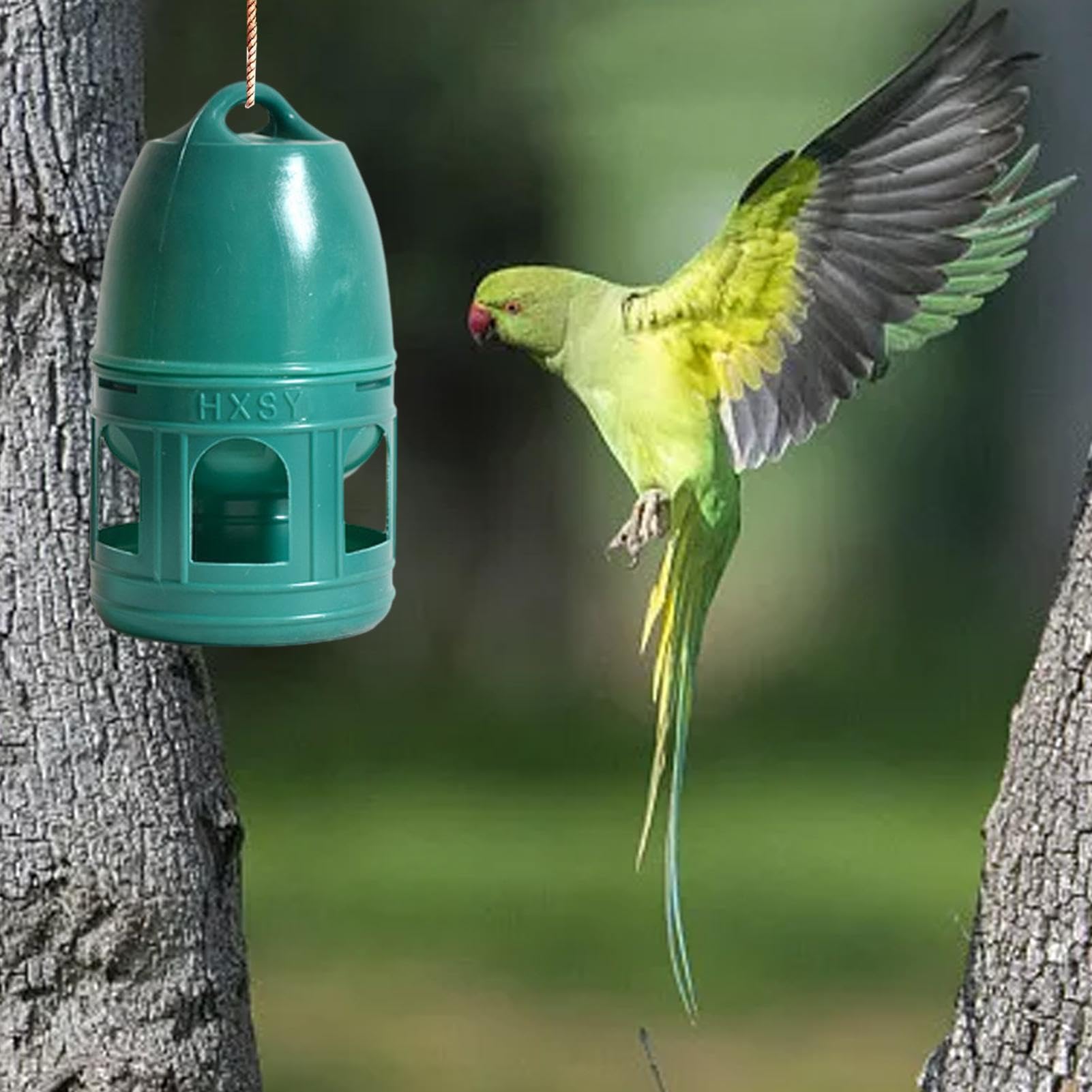 Abreuvoir pour Pigeons - Capacité 3/5 l - avec poignée de Transport - Distributeur d'eau - Abreuvoir pour Pigeons et volailles - pour l'alimentation en Eau