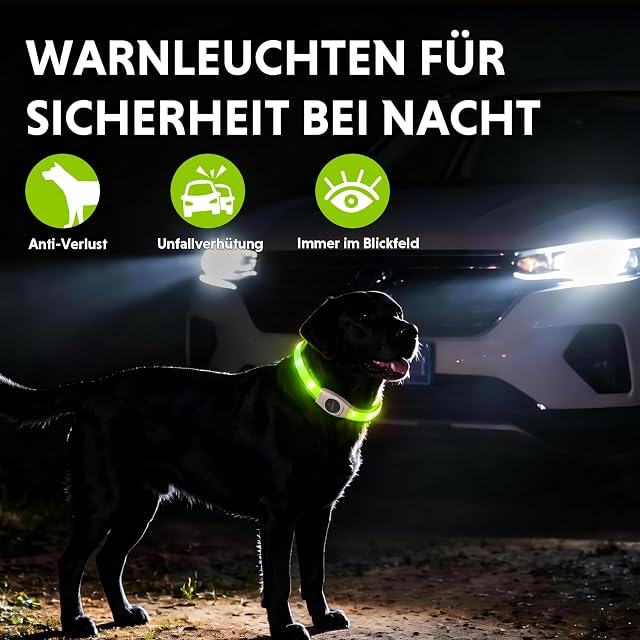 Foto 3 de 8 de LaRoo - Collar para Perros con LED, Recargable por USB, para Perros pequeños, medianos y Grandes, 3 Modos (65…