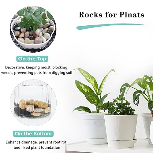 Miniatura 4 de Simetufy Rocas de río de 5 libras para plantas, guijarros de 1-2 pulgadas, rocas decorativas, grava pulida de jardín al aire libre, guijarros para