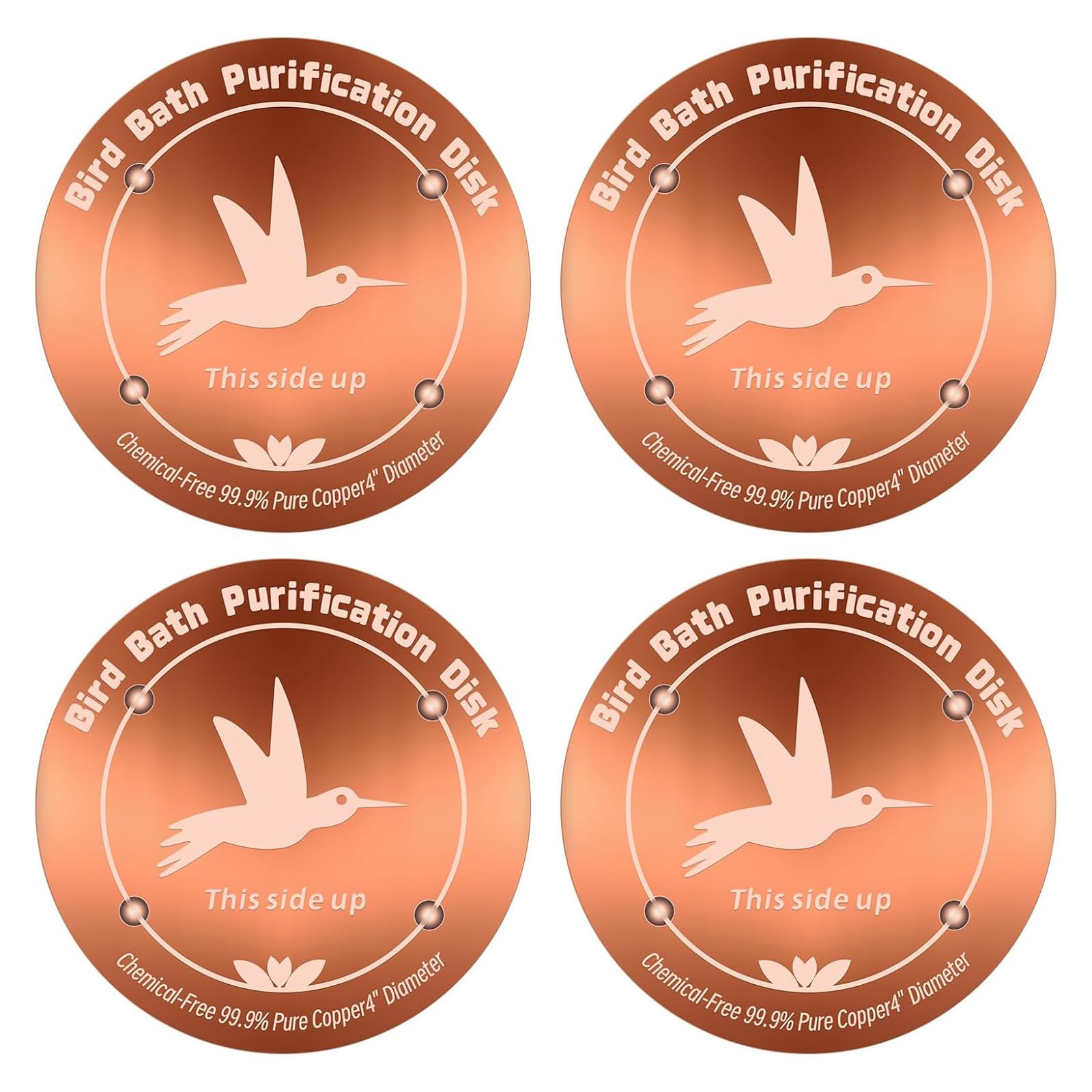 Disque purificateur en cuivre 4 points pour bassin extérieur