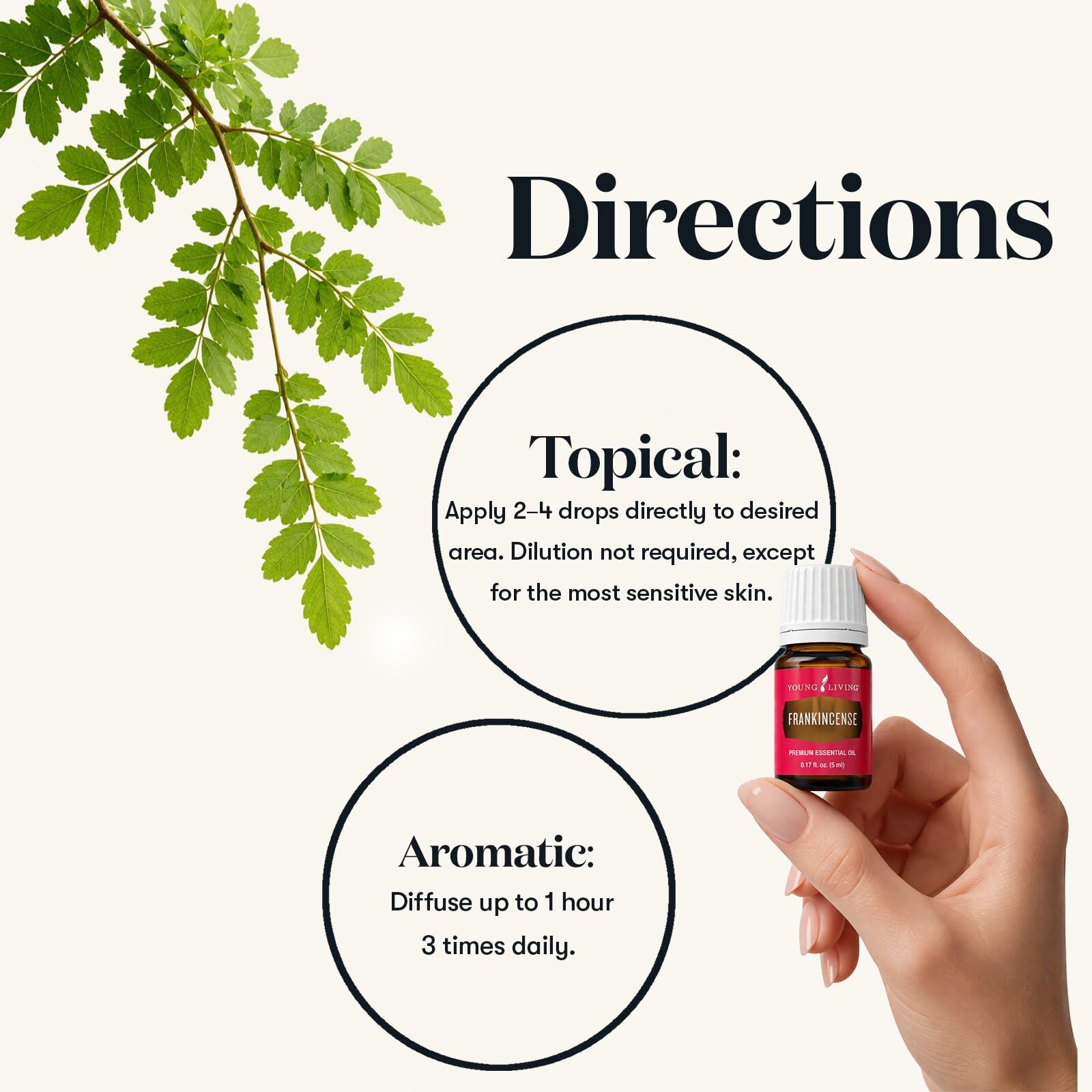 Young Living Frankincense Essential Oil 5ml - Pure & Therapeutic