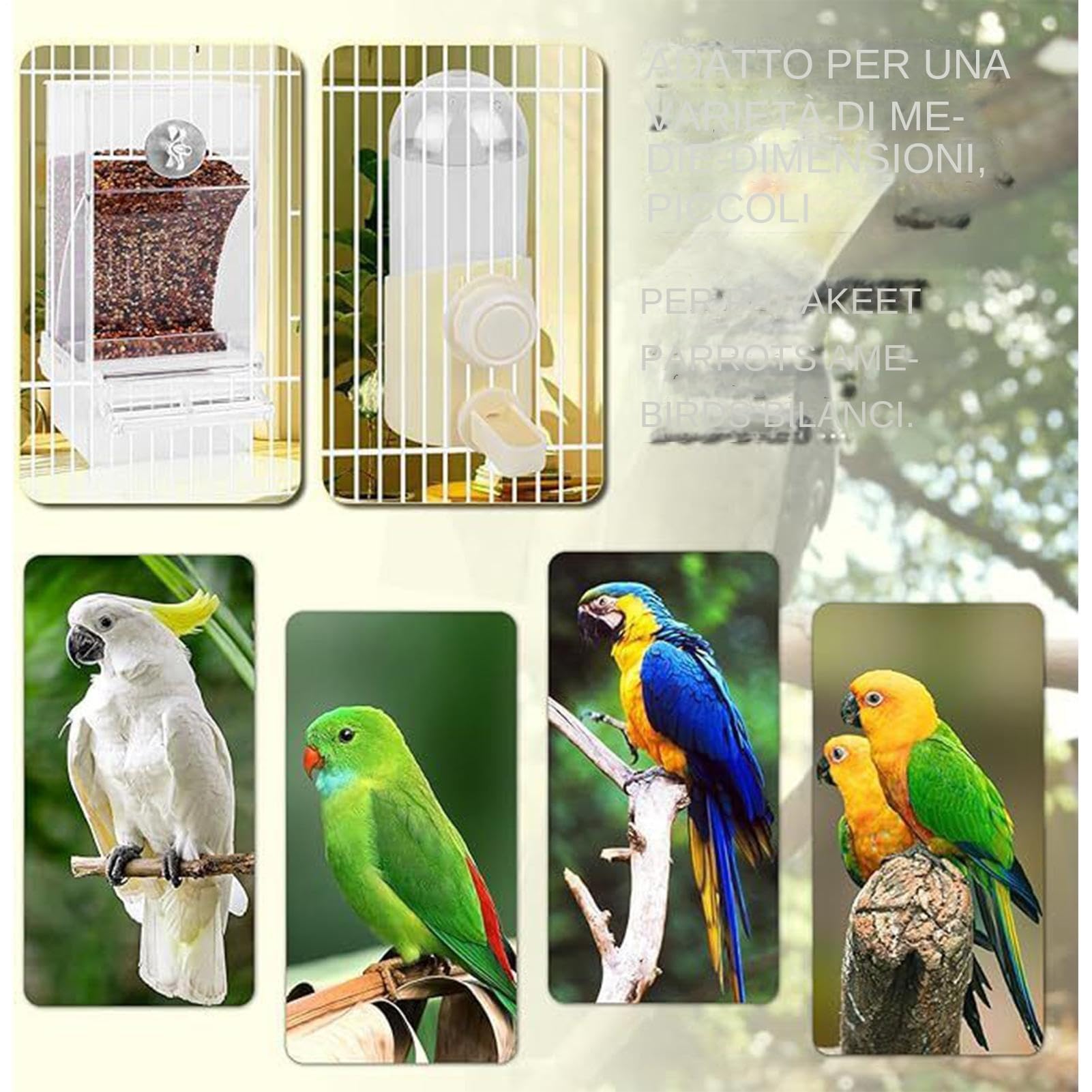 Abbeveratoio Per Uccelli, Bevitore Per Pappagalli, Dispenser Antigoccia per Fringuelli Parrocchetti Canarini Pappagalli Calopsite