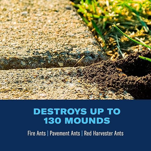 Miniatura 3 de Bayer Advanced 502832 Fire Ant Killer Dust veneno para hormigas 16 onzas