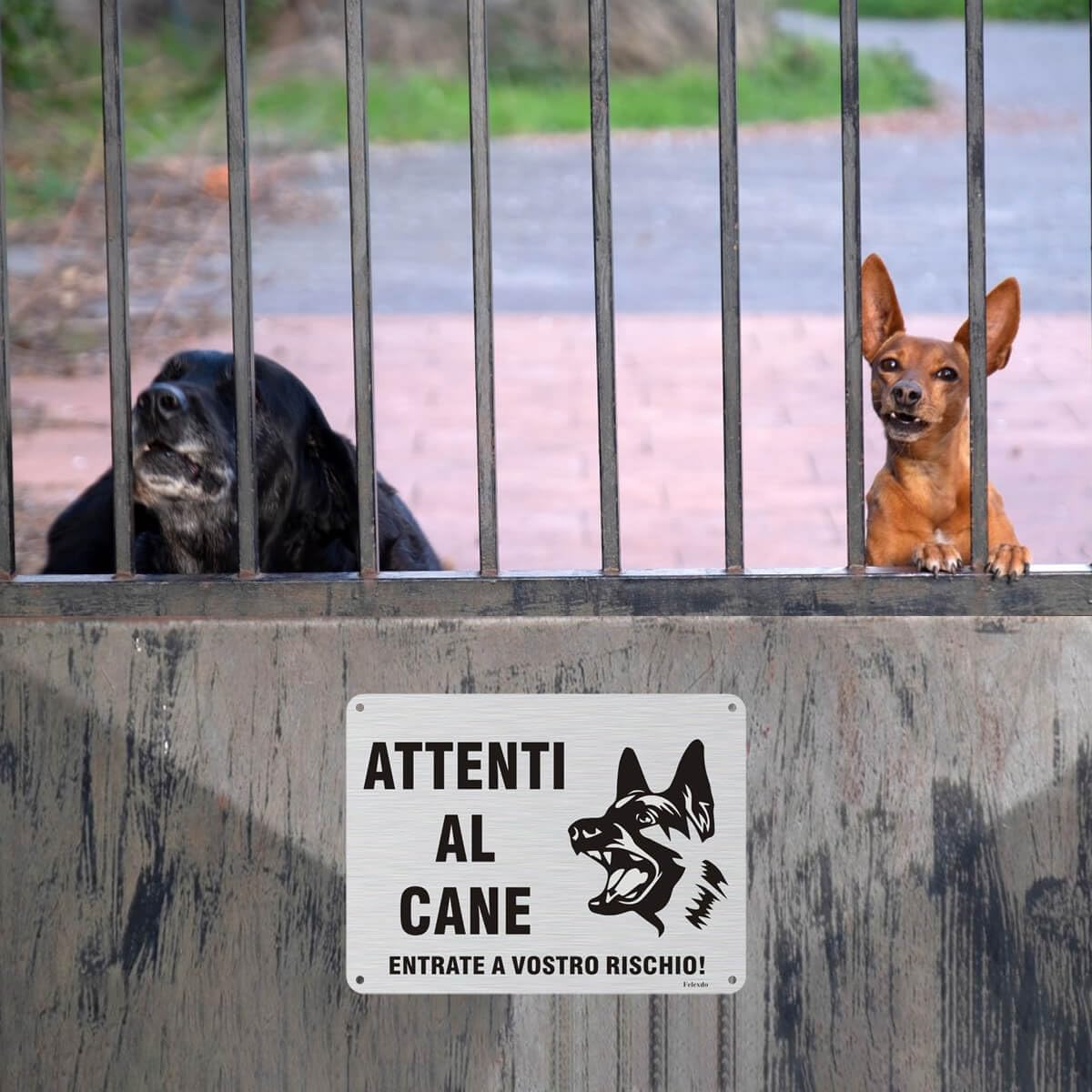 Attenti al Cane Cartello,20x15cm Targhetta Attenti al Cane con Autoadesivo Attenzione al Cane Cartelli in Alluminio Spazzolato Durevole Adatti per Uso Interno o Esterno
