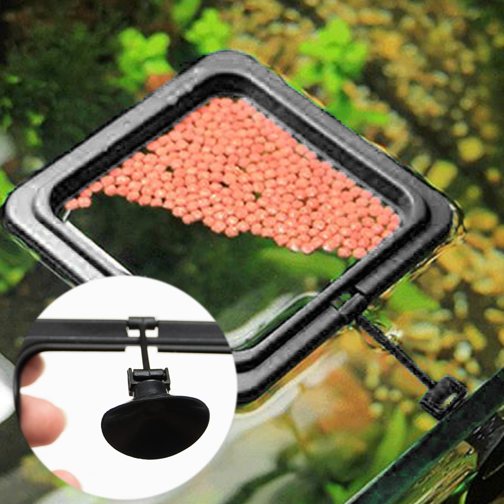 Mangiatoie quadrate nere per pesci d'acquario 10 cm con ventose