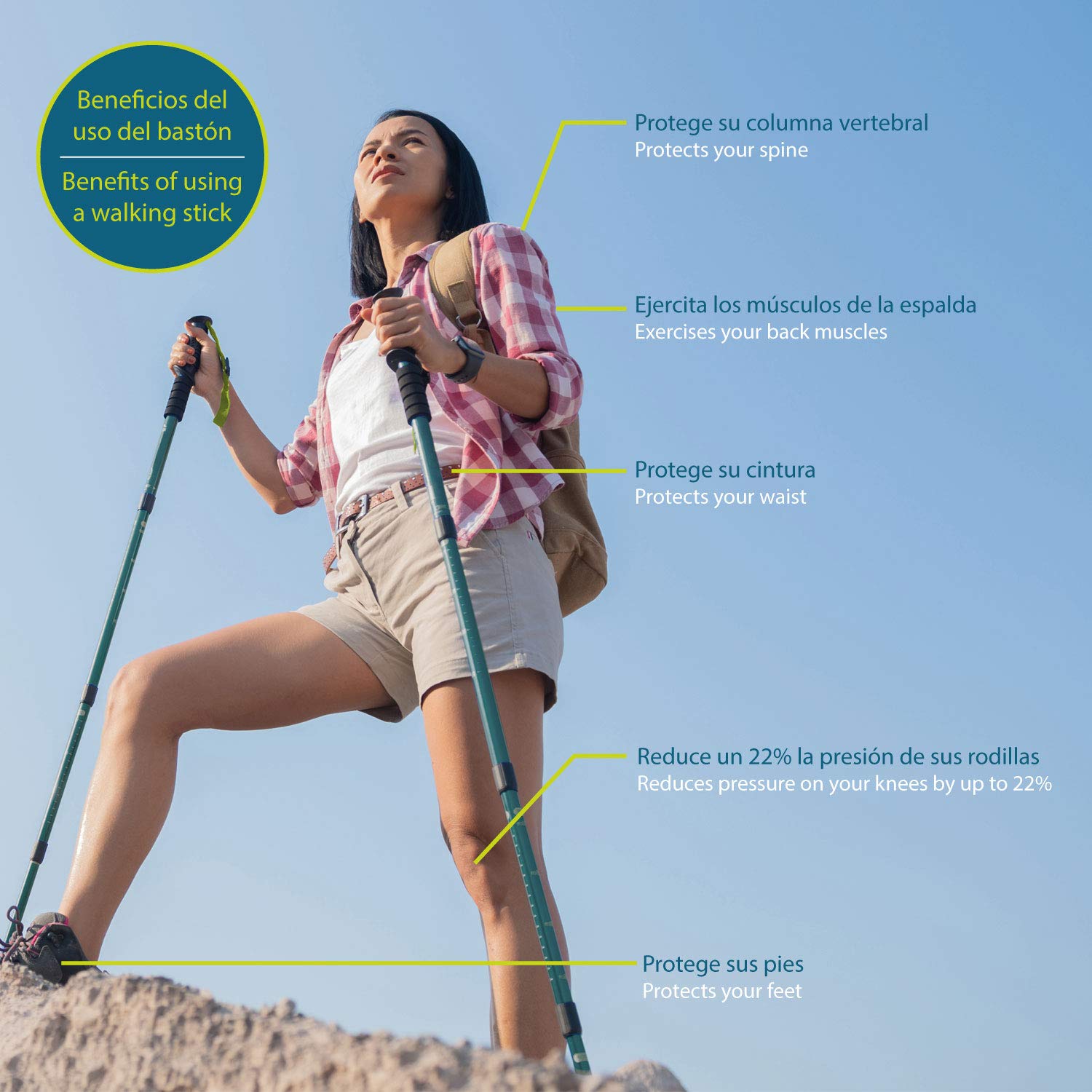 Daikoku - Bastoni da Trekking Estensibili 65-135cm | Leggeri e Resistenti in Alluminio | Impugnatura Ergonomica | Adatti a Tutti i Terreni con 6 Punte e Zaino Trail | Montagna, Trekking e Camminata