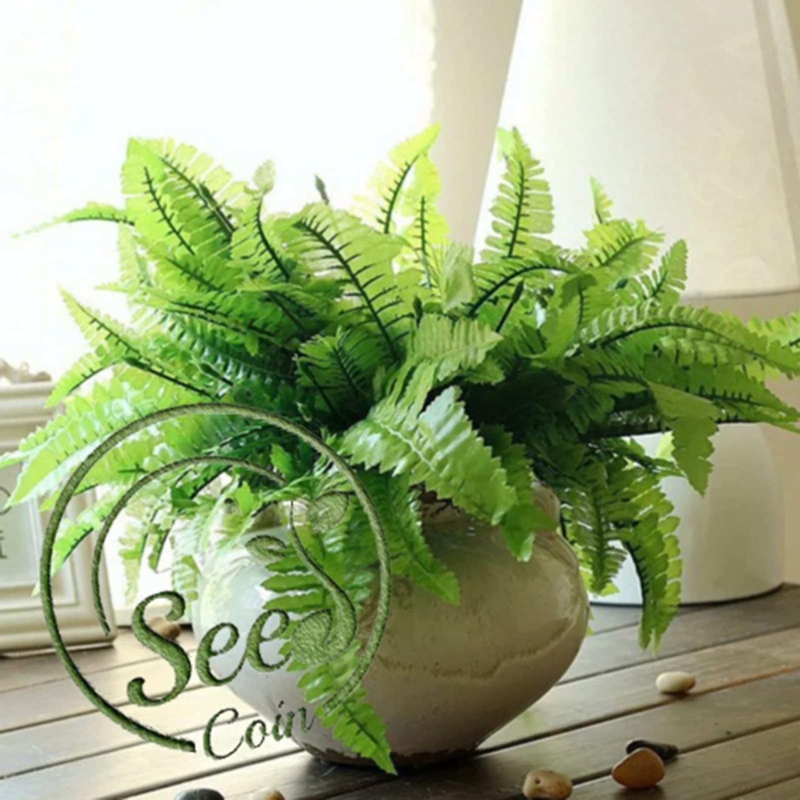 150Pcs Per Pack Boston Fern Seeds Grow Kit | Home DIY Gardening Rustic Pteridophyte Seeds for Balcony Seeds 1size