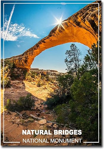 Natural Bridges National Monument Utah - Imán para refrigerador de viaje, tamaño 2.5 x 3.5 pulgadas