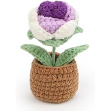 yodo Handmade Crochet Rose in Pot-Cute Amigurumi Yarn Flower Gift, Decorative Rose Plant for Women, Men, Teacher Appreciation, Birthday, Home or Office Decor,Purple/White