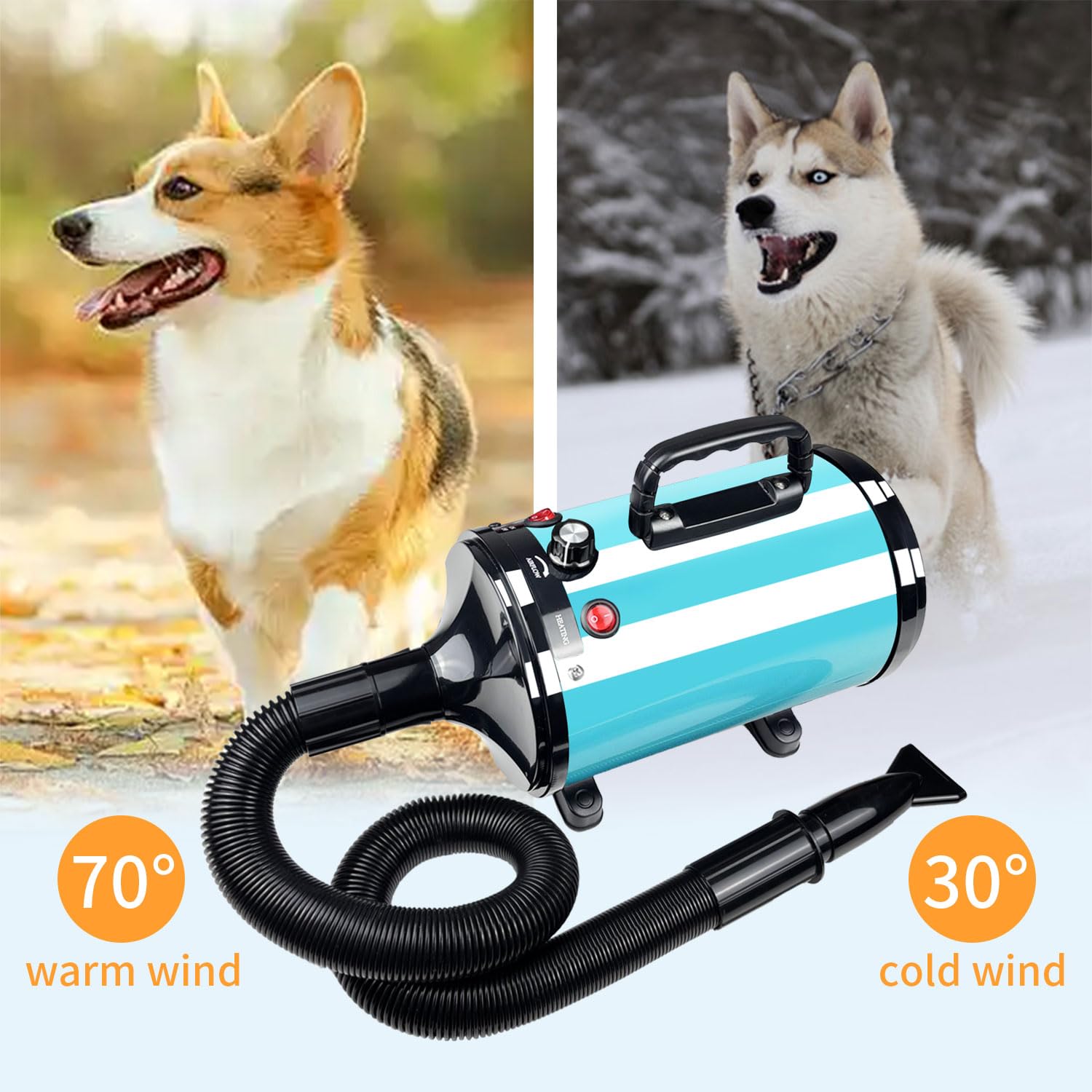 Asciugacapelli professionale per cani, a basso rumore, temperatura regolabile, asciugatura rapida con doppia velocità, strumento leggero e portatile per toelettatura (Blu)