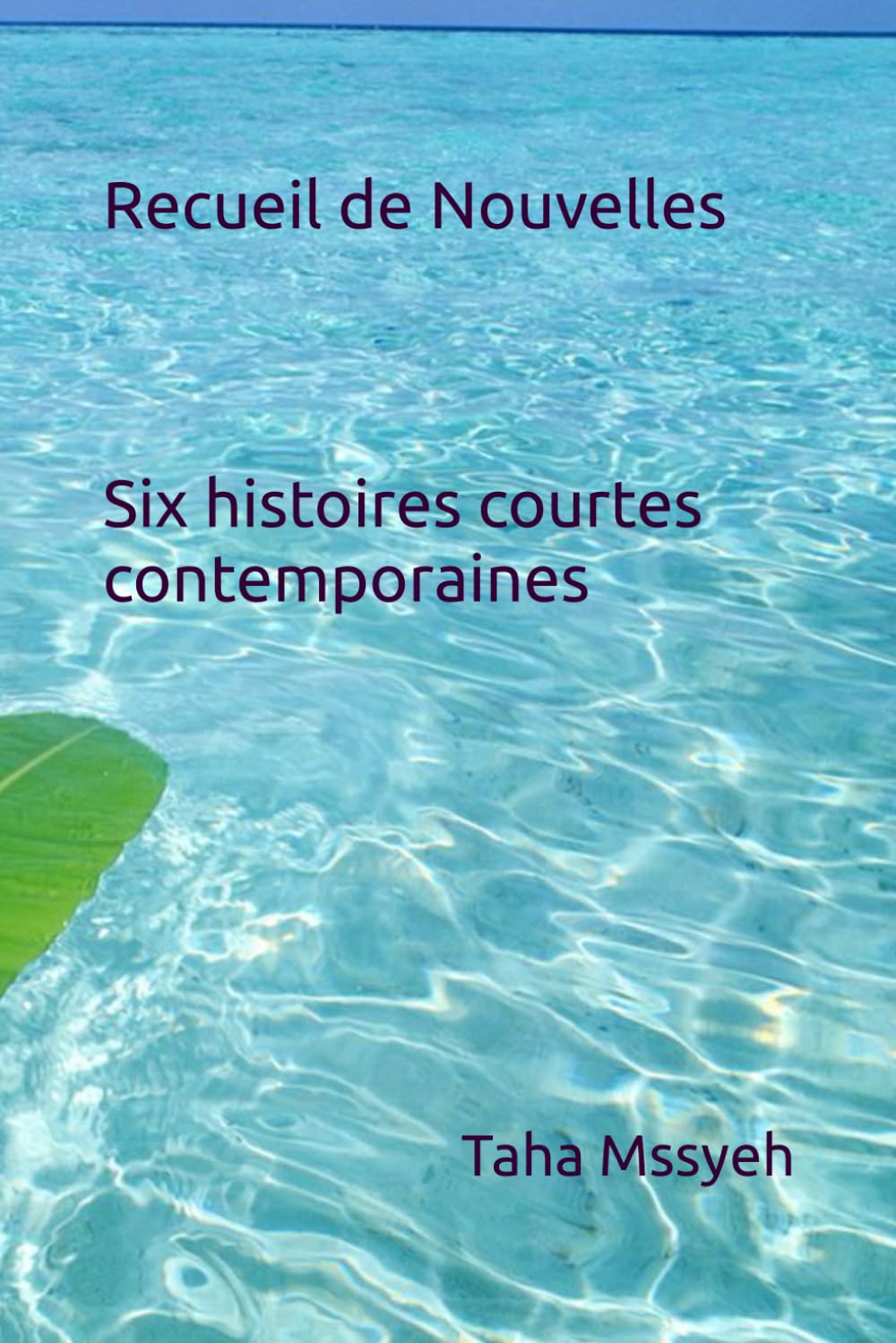 Recueil de Nouvelles: Six histoires courtes contemporaines