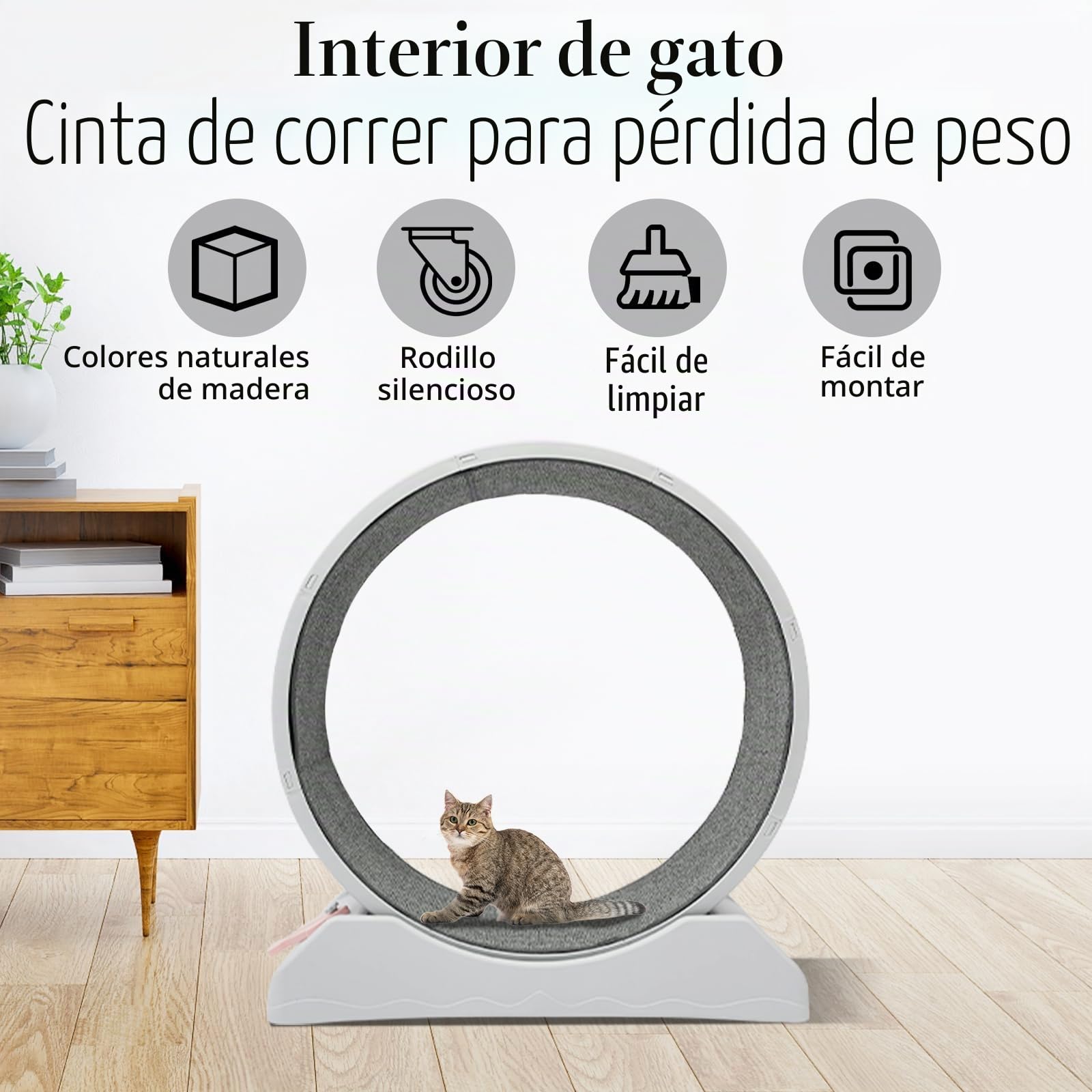 Rueda para gatos con bloqueo, carga máxima de 10 kg, dispositivo de fitness para pérdida de peso, adecuado para casa, tienda de mascotas, etc