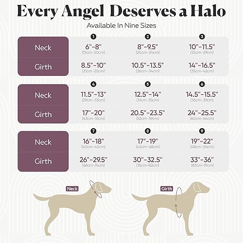 Miniatura 7 de Muffin's Halo - Arnés para perro, guía para perros, ayuda a perros ciegos o mascotas con problemas visuales para evitar accidentes y crear