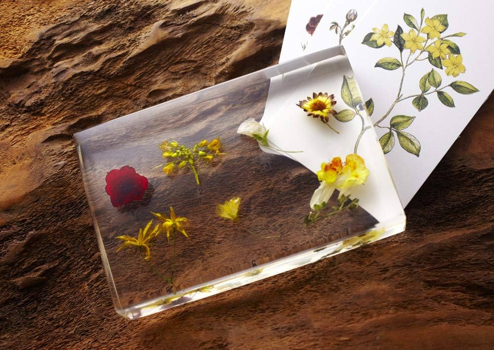 71QtfHdkDYL._AC_UF1000,