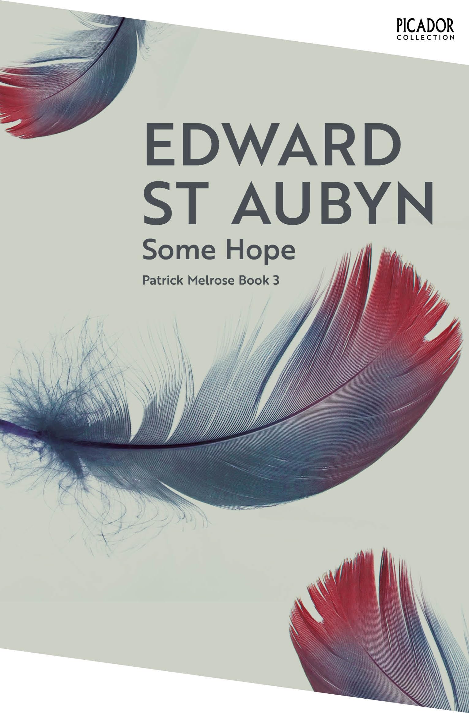 Some Hope by Edward St Aubyn Paperback