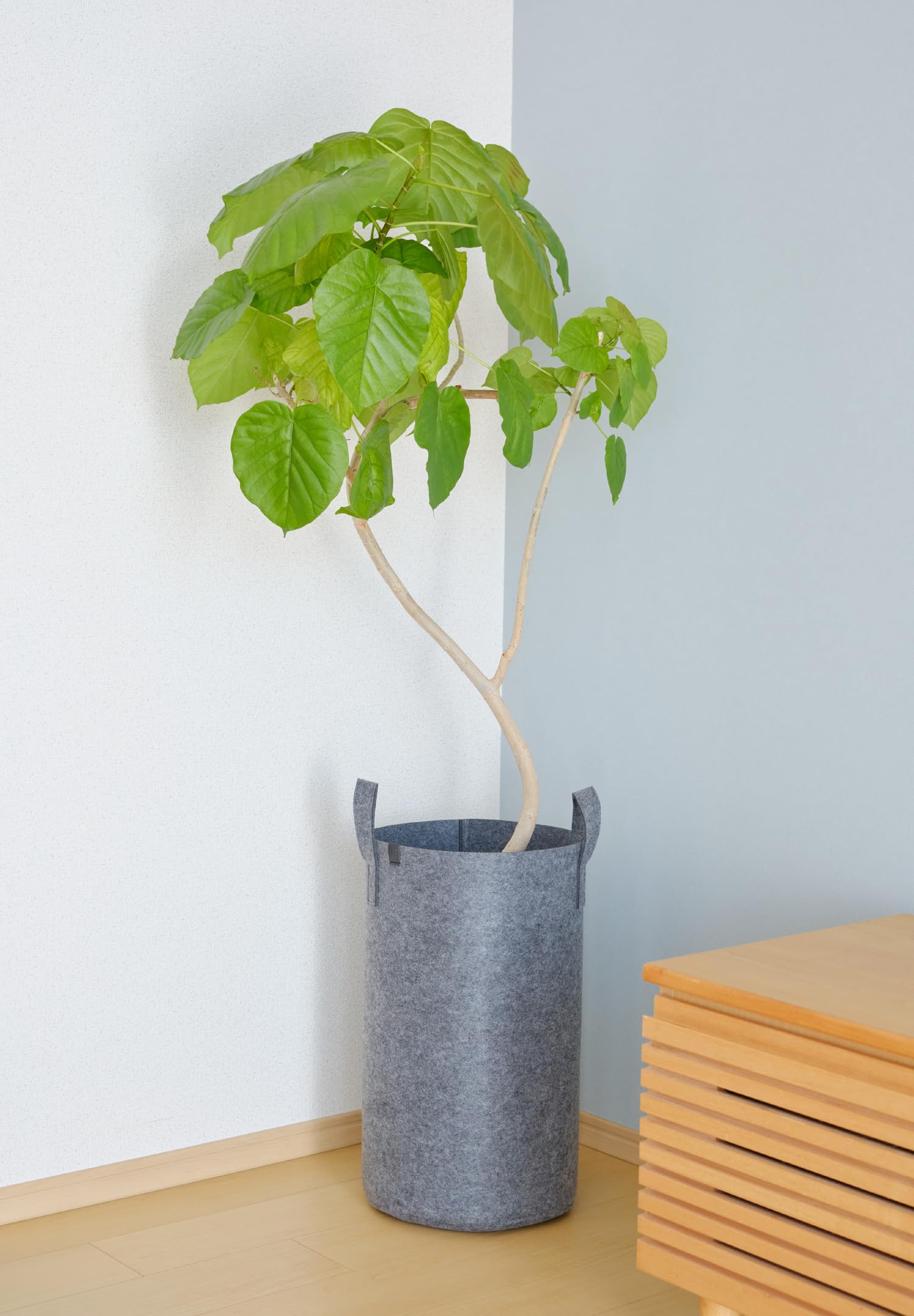 Amazon.co.jp: 鉢カバー 観葉植物 8号 9号鉢対応 トール プランター