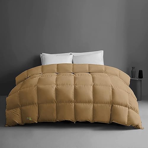 Pure Eco Edredón prémium de 1 pieza (120 x 120 pulgadas)  Edredón de invierno súper suave de algodón de 300 GSM, ligero, 4 lazos en las esquinas,