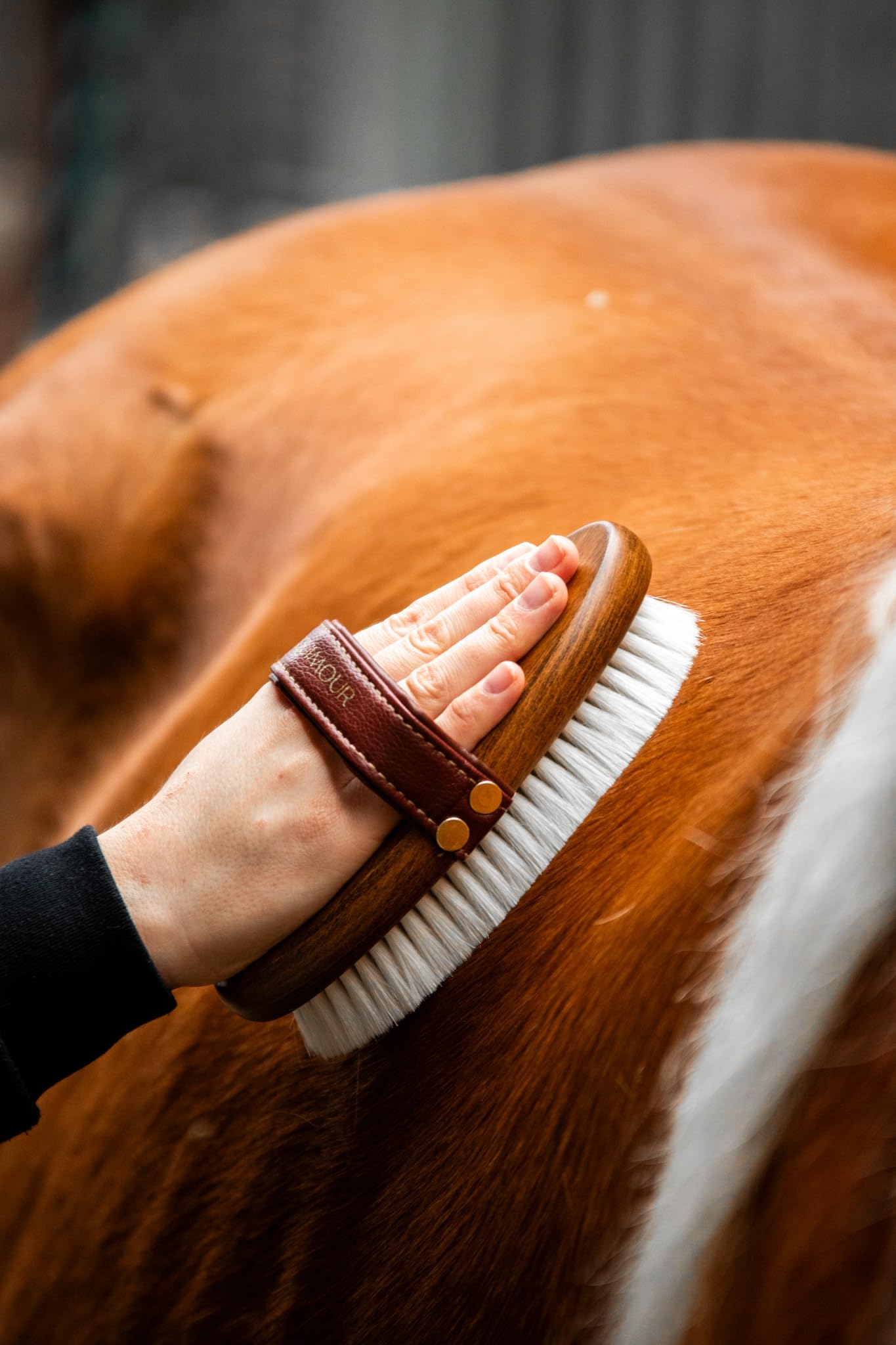 Cepillo de brillo – 100 % pelo de cabra | Cepillo para caballos con mango de madera y correa de cuero vegano | Cuidado suave del pelaje con acabado brillante y antielectrostático