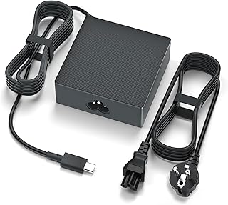 100W USB C Charger Charger Compatible with Asus ROG Ally X Z1 Ally Dock ROG Flow X13 Z13 GV301 GV302 GZ301 ZenBook Duo Zephyrus G16 GU605 G14 GA403 Strix G18 G16 Scar 16 18