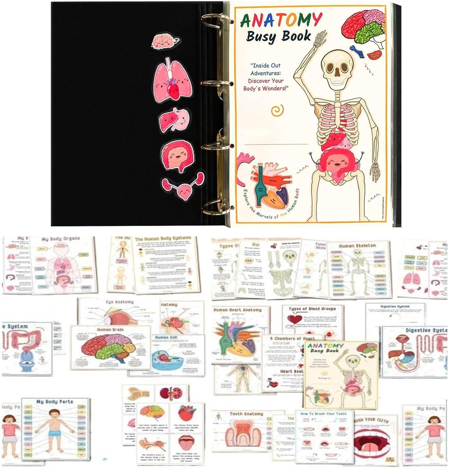 Human Anatomy Busy Book, Human Body Anatomy Busy Book Learning Toys