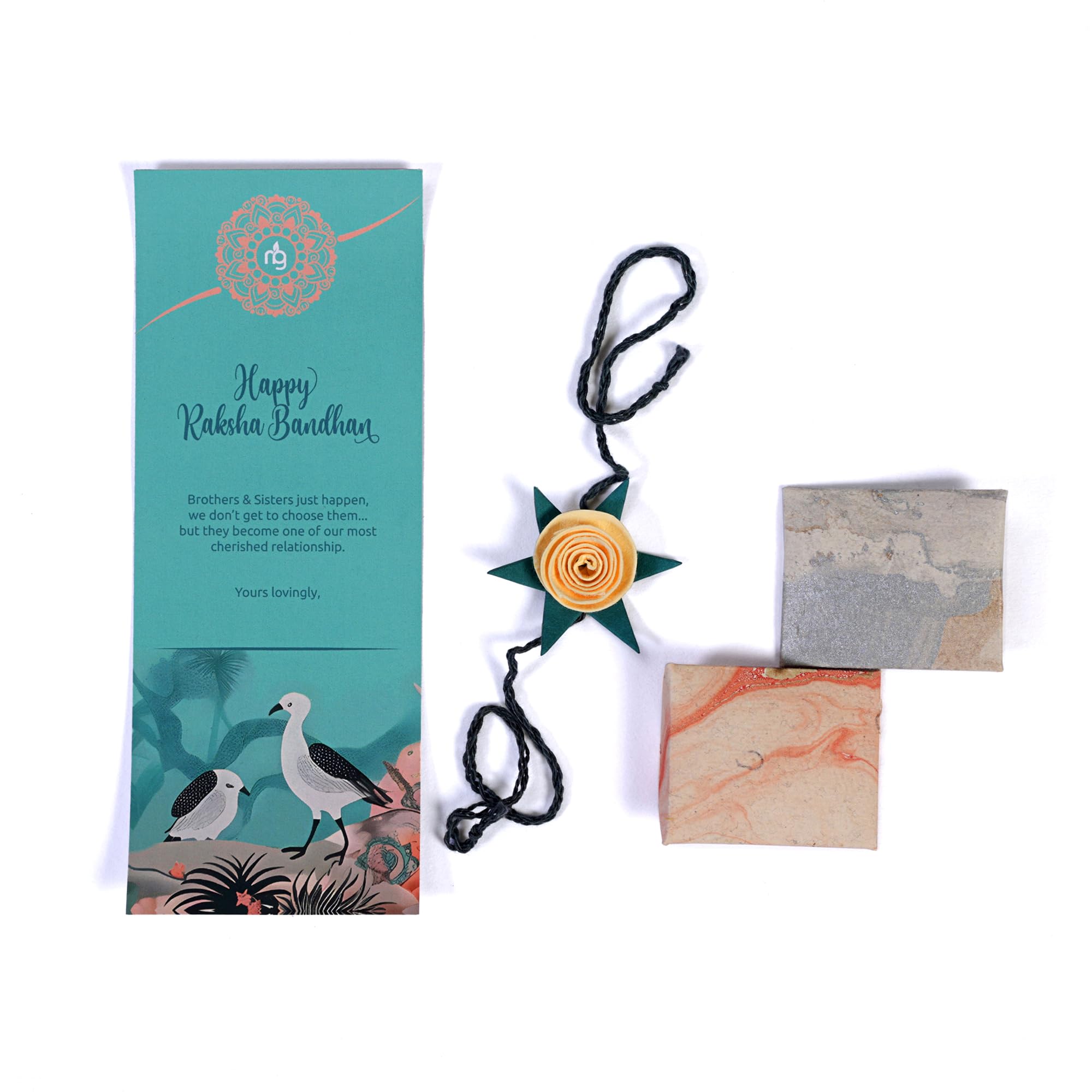 Nurturing Green® Plantable Rakhi Combo with Roli and Chawal | Eco-Friendly Rakhi Gift Box for Rakshabandhan | Rakhi For Brother (B0DBQ2RYHJ) Amazon Price History, Amazon Price Tracker
