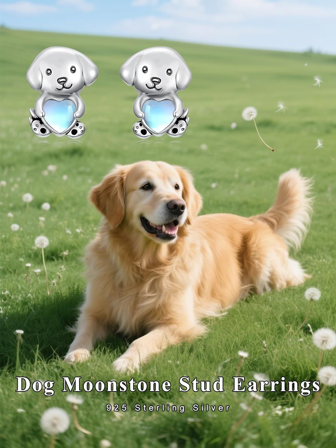 Dorunmo Dragon/Sea Turtle/Dog/Celtic Knot Stud Earrings 925 Sterling Silver Hypoallergenic Animal Stud Earrings Jewelry Gifts for Women