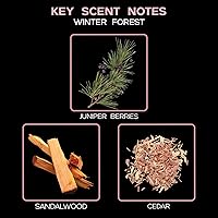 Vista 26 de LOVSPA Aceite Difusor Ocean Driftwood - Aceites Esenciales de Lujo para Recarga de Difusor y Ambientador en Aerosol para Habitaciones - Fragancia