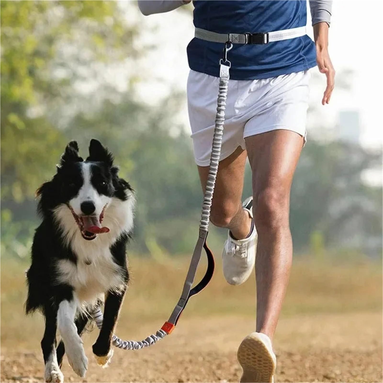 Laisse Main Libre Chien Ceinture de Traction rétractable for Chien, 1 pièce, Mains Libres, for la Course, Grande Taille, Fournitures for Animaux de Compagnie(Dark Green)