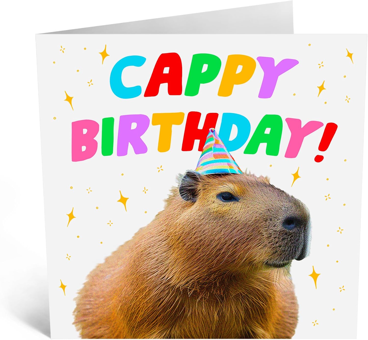 CENTRAL 23 Birthday Card - 'CAPPY BIRTHDAY CAPYBARA' - Perfect for Celebrating with a Fun and Playful Twist - Ideal for Adding a Unique and Adorable Touch to Their Special Day - Comes With Stickers image 3