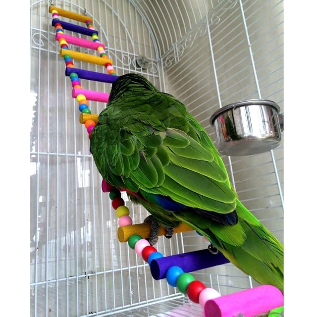 Foto 7 de 7 de Escalera de madera, juguete para pájaros, loros, periquitos, cacatúas, guacamayos grises, cacatúas africanas